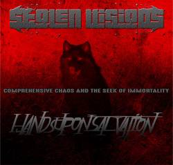 Hands Upon Salvation : Comprehensive Chaos and the Seek of Immortality
